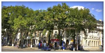 Фотографии Хостелы Suisse Hostel г. Кишинёв (Молдова) №5 Фото Хостелы Suisse Hostel г. Кишинёв 5