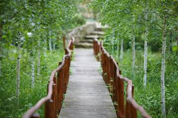 Фотографии Отель Pensiune turistică Hanul lui Vasile г. Кишинёв (Молдова) №2 Фото Отель Pensiune turistică Hanul lui Vasile г. Кишинёв 2