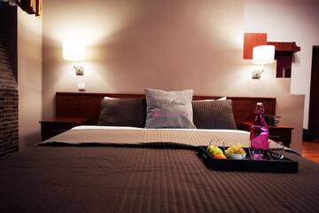 Фото номера Стандартный номер Отель Art-Rustic Boutique Hotel г. Кишинёв 5