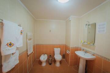 Фото номера Улучшенный двухместный номер с 1 кроватью Отель Villa Arus г. Кишинёв 12
