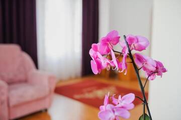 Фото номера Стандартный двухместный номер с 1 кроватью Отель Villa Arus г. Кишинёв 30