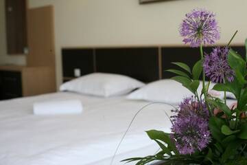 Фото номера Улучшенный двухместный номер с 1 кроватью Отель Jazz Hotel г. Кишинёв 5