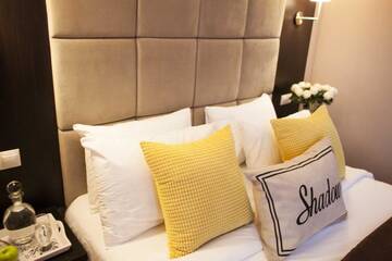Фото номера Двухместный номер эконом-класса с 1 кроватью Отель Shadow Boutique Hotel &amp; Spa г. Кишинёв 2