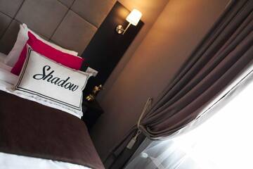 Фото номера Двухместный номер эконом-класса с 1 кроватью Отель Shadow Boutique Hotel &amp; Spa г. Кишинёв 5
