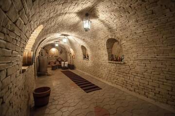 Фото номера Номер с 3 спальнями Виллы Magnificent Villa г. Кишинёв 68