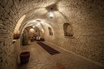Фото номера Номер с 3 спальнями Виллы Magnificent Villa г. Кишинёв 35