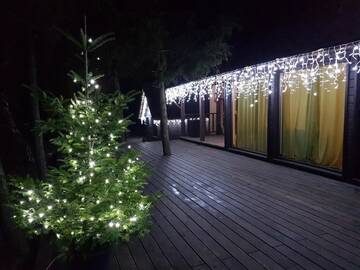 Фото номера Вилла с 3 спальнями Курортные отели Tree House г. Кишинёв 30