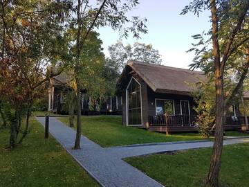 Фото номера Апартаменты - Двухуровневые Курортные отели Tree House г. Кишинёв 18