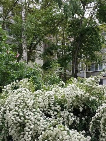 Фото номера Апартаменты с 1 спальней Апартаменты Apartment in Armeniasca street г. Кишинёв 14