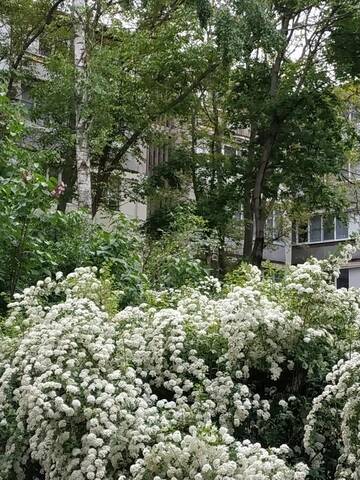 Фото номера Апартаменты с 1 спальней Апартаменты Apartment in Armeniasca street г. Кишинёв 9