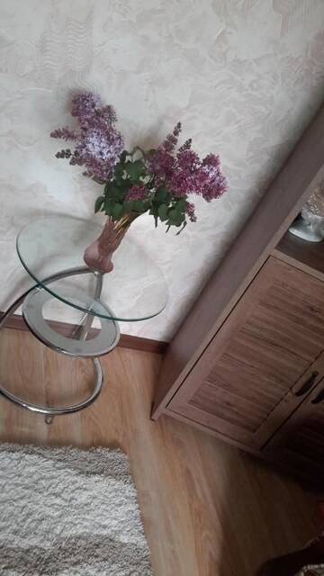 Фото номера Дом с 1 спальней Дома для отпуска Nice little house г. Кишинёв 48