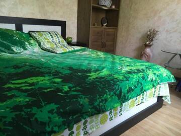 Фото номера Дом с 1 спальней Дома для отпуска Nice little house г. Кишинёв 55