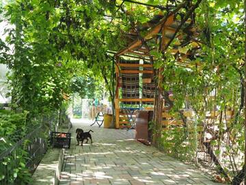 Фото номера Дом с 1 спальней Дома для отпуска Nice little house г. Кишинёв 54