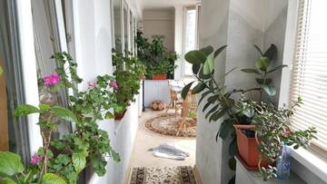 Фото номера Апартаменты Апартаменты New Rent Apartments 1 Rooms 60m2 in the Center г. Кишинёв 26