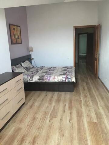 Фото номера Апартаменты - Двухуровневые Апартаменты Apartment in Historical Center г. Кишинёв 44