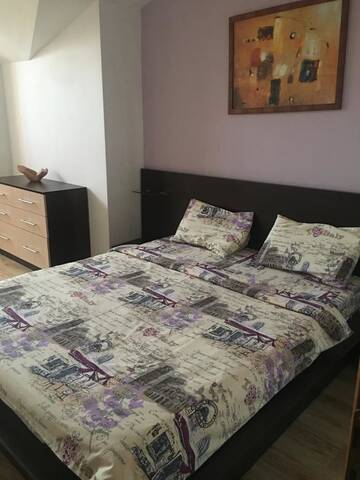 Фото номера Апартаменты - Двухуровневые Апартаменты Apartment in Historical Center г. Кишинёв 16