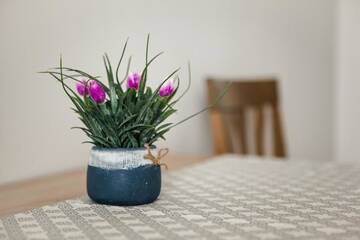 Фото номера Апартаменты Апартаменты 1 Bedroom Flat near Shopping Malldova! г. Кишинёв 74