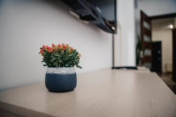 Фото номера Апартаменты Апартаменты 1 Bedroom Flat near Shopping Malldova! г. Кишинёв 15