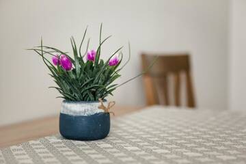 Фото номера Апартаменты Апартаменты 1 Bedroom Flat near Shopping Malldova! г. Кишинёв 31