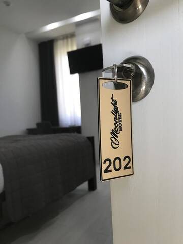 Фото номера Бюджетный двухместный номер с 1 кроватью Отель Moonlight Hotel г. Кишинёв 4
