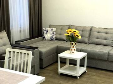 Фото номера Апартаменты Делюкс Апартаменты Dosoftei Apartament г. Кишинёв 44
