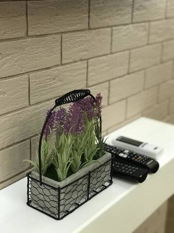 Фото номера Апартаменты Делюкс Апартаменты Dosoftei Apartament г. Кишинёв 22