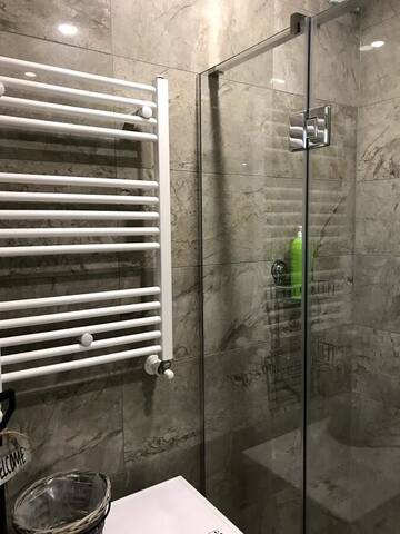 Фото номера Апартаменты Делюкс Апартаменты Dosoftei Apartament г. Кишинёв 8