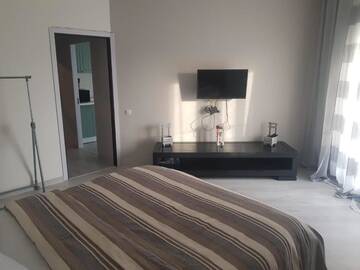 Фото номера Люкс с террасой Апартаменты apartament with terras г. Кишинёв 36