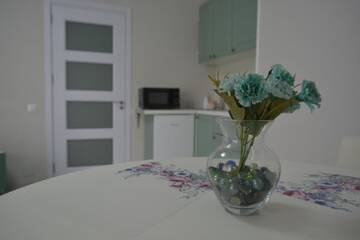 Фото номера Люкс с террасой Апартаменты apartament with terras г. Кишинёв 29