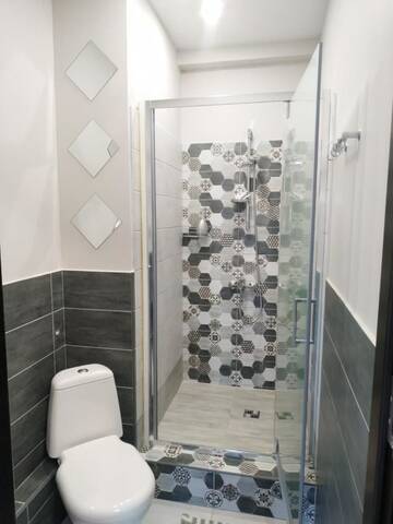 Фото номера Люкс с террасой Апартаменты apartament with terras г. Кишинёв 8