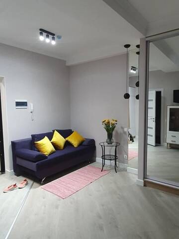 Фото номера Апартаменты с 1 спальней Апартаменты Anfisa VIP apartment г. Кишинёв 14