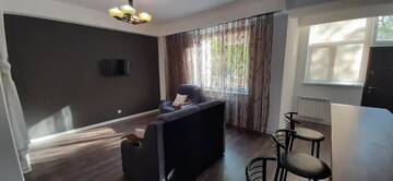 Фото номера Апартаменты с 1 спальней Апартаменты Great studio apartment г. Кишинёв 18